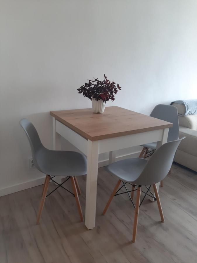 Apartament Komfortowy - W Pelni Wyposazony - Spaceapart Apartment เยเลเนียกูรา ภายนอก รูปภาพ